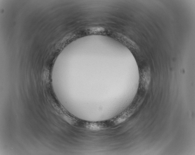 X0000080780565200701021150
