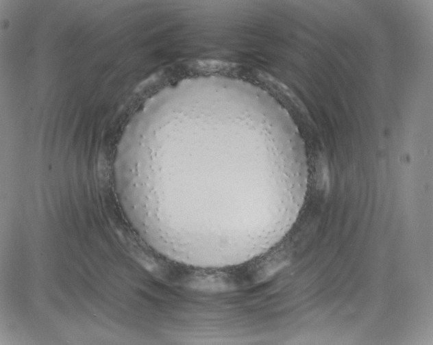 X0000080780569200701021150