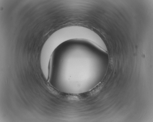 X0000080780572200701021150