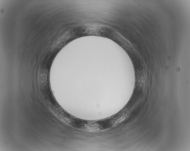 X0000080780603200701021149