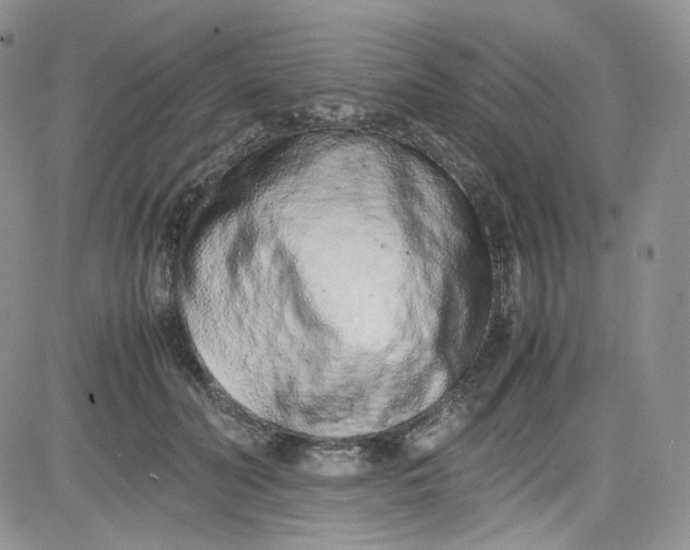 X0000080780606200701021149