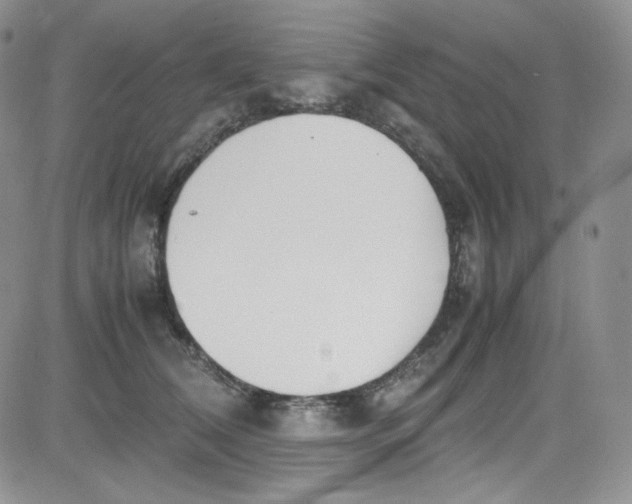 X0000080780612200701021149