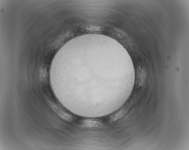 X0000080780614200701021149