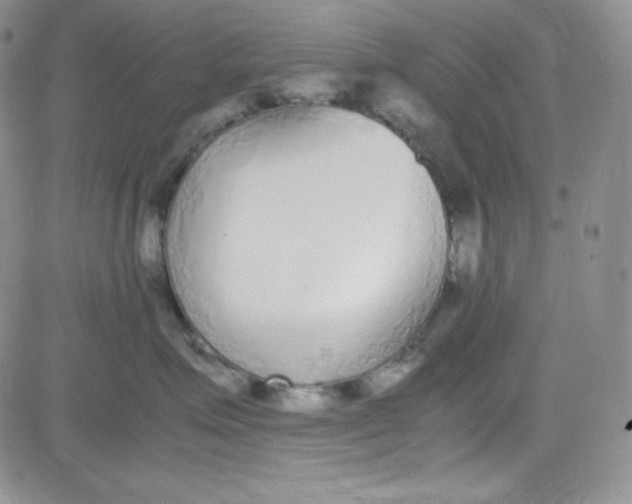X0000080780623200701021149
