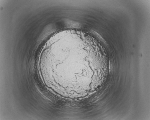 X0000080780627200701021148