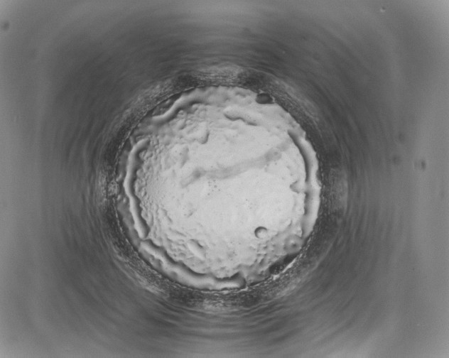 X0000080780641200701021148