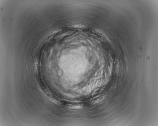 X0000080780643200701021148