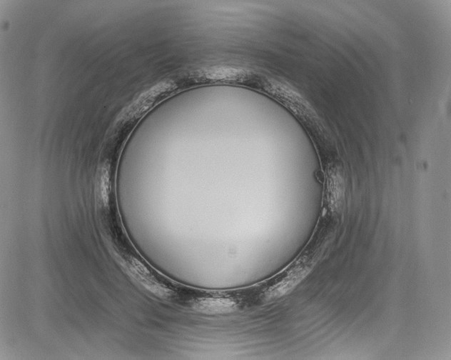 X0000080780644200701021148