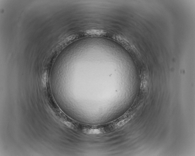 X0000080780647200701021148