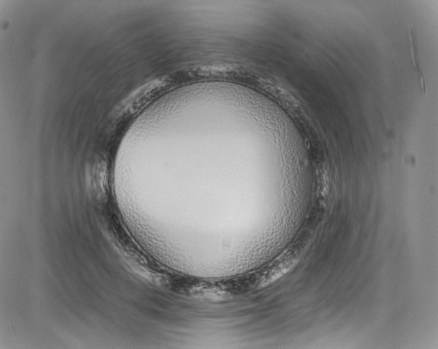 X0000080780648200701021148