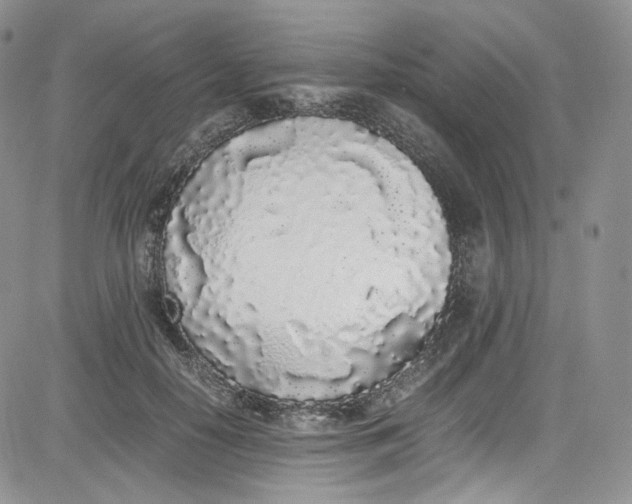 X0000080780650200701021148