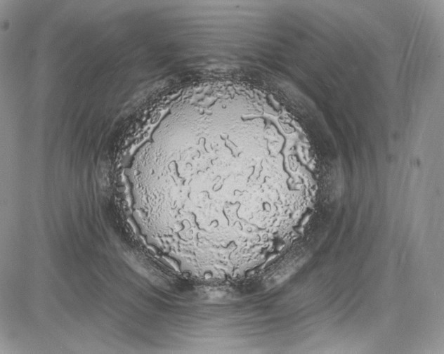 X0000080780654200701021148
