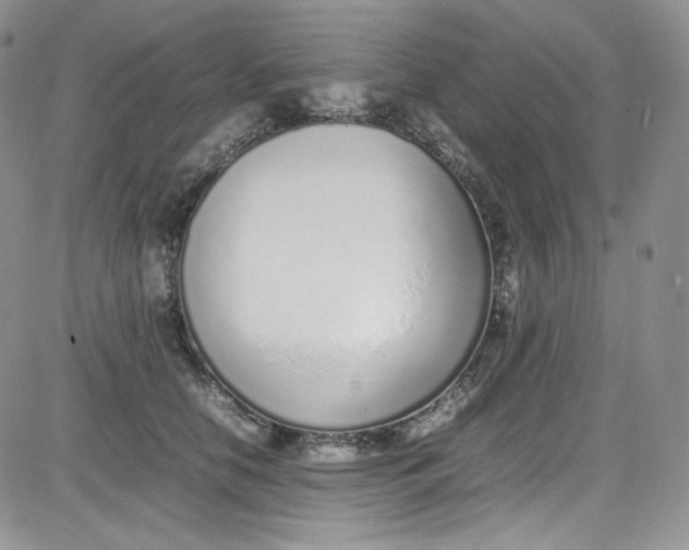 X0000080780658200701021148