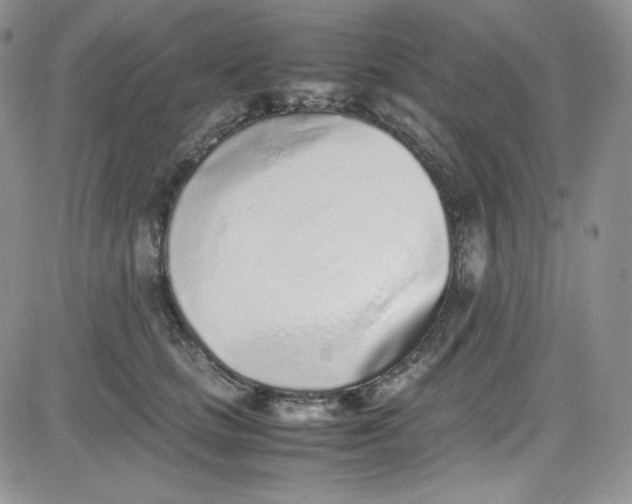X0000080780661200701021148