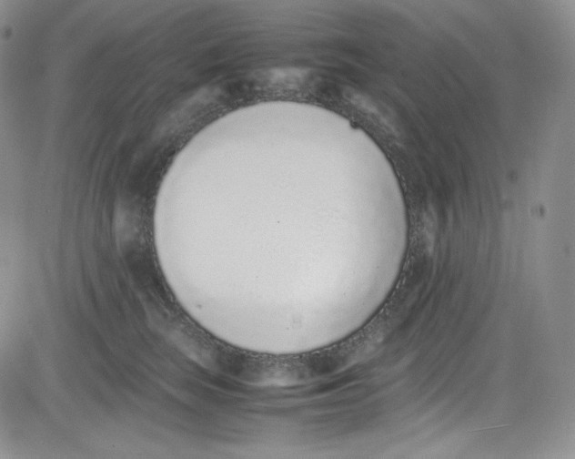 X0000080780663200701021148