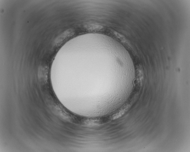 X0000080780664200701021148