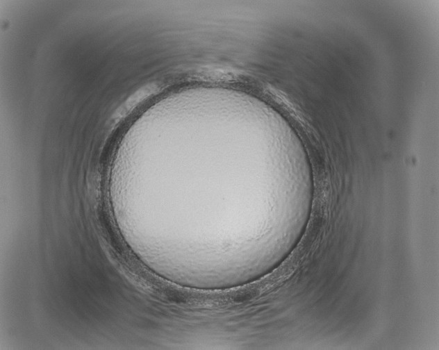 X0000080780679200701021148