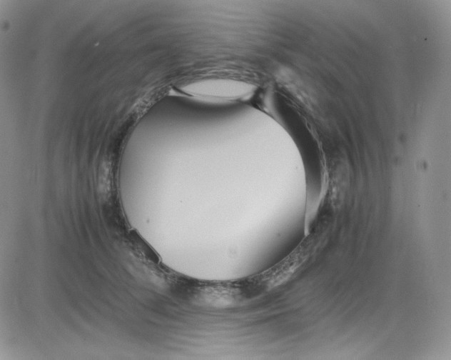 X0000080780708200701021147