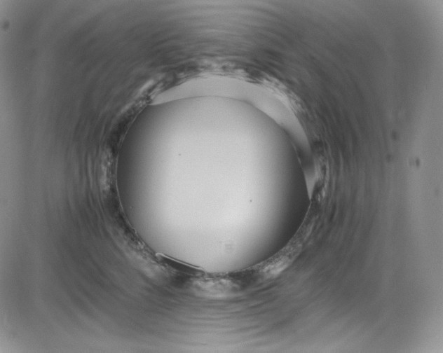 X0000080780712200701021147