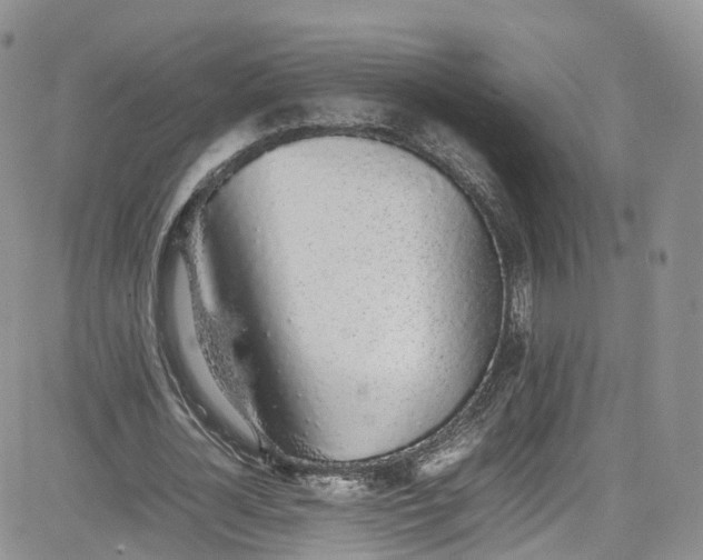 X0000080780724200701021146