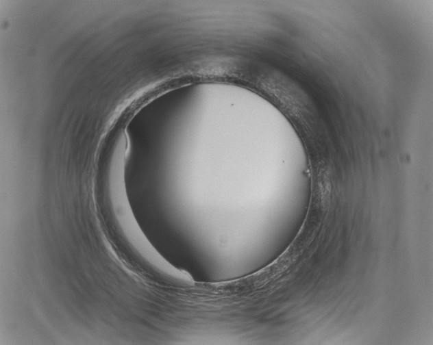 X0000080780728200701021146