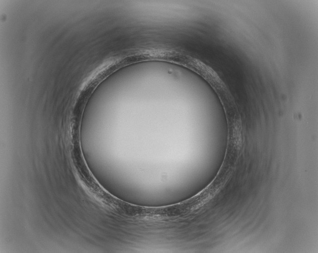 X0000080780730200701021146