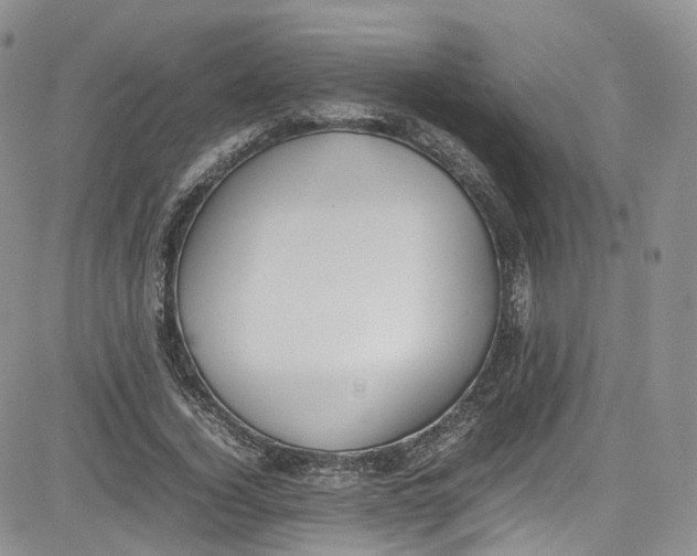 X0000080780732200701021146