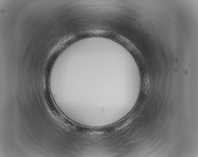 X0000080780734200701021146