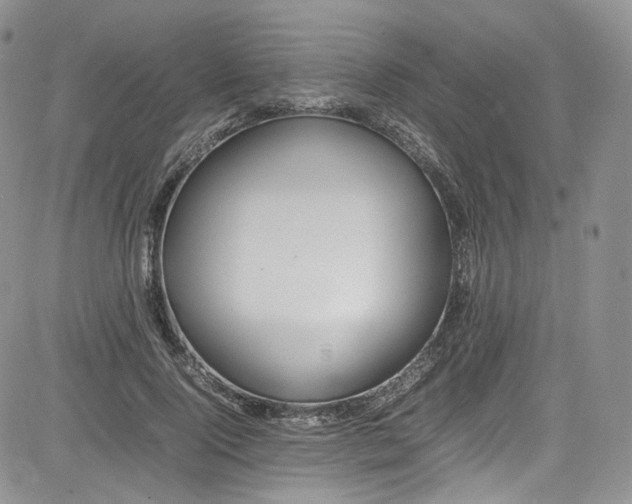 X0000080780740200701021147