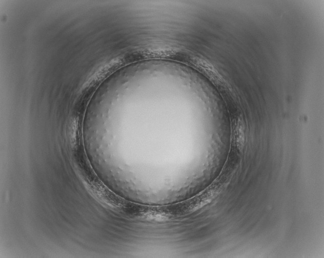 X0000080780742200701021147