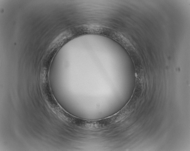 X0000080780744200701021147
