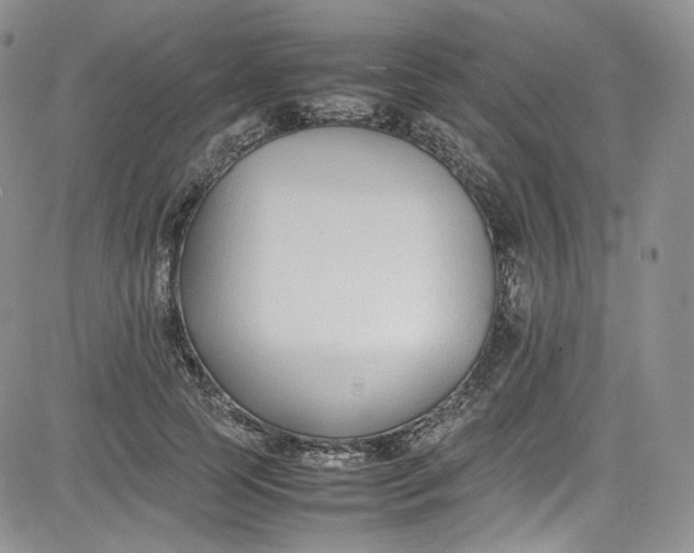 X0000080780745200701021147