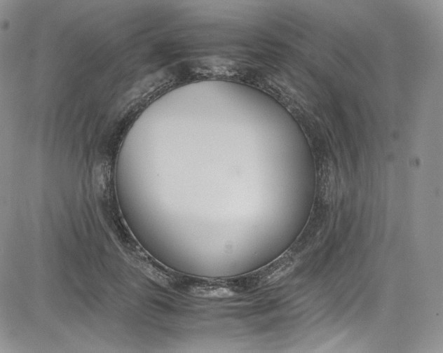X0000080780747200701021147
