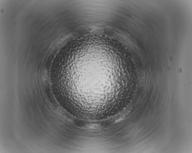 X0000080780748200701021147
