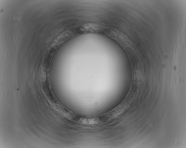 X0000080780751200701021147