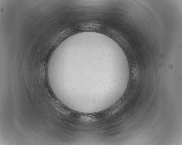 X0000080780753200701021147