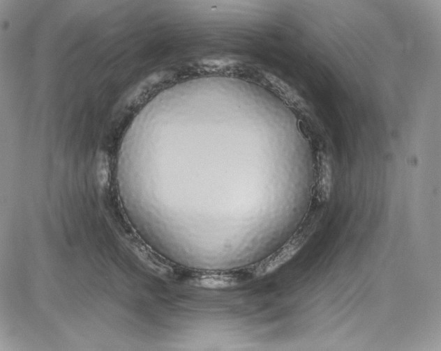 X0000080780758200701021147
