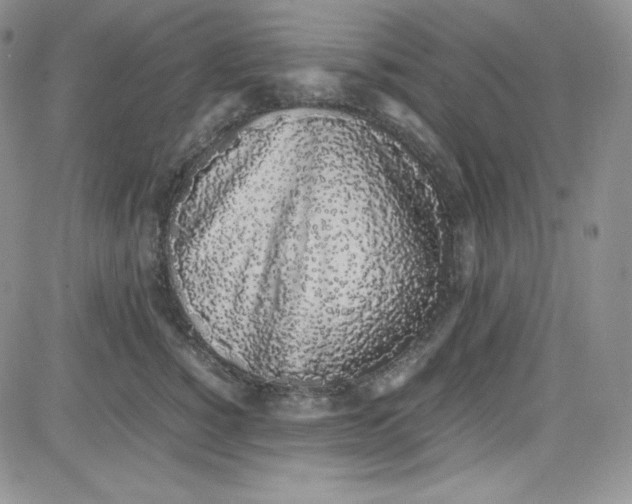 X0000080780760200701021147