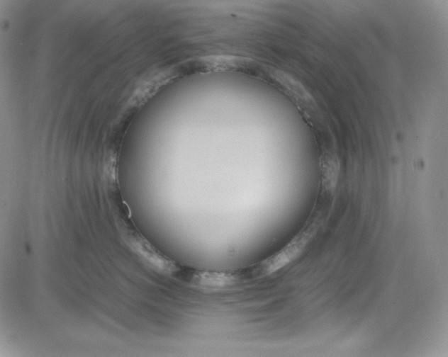 X0000080780766200701021147