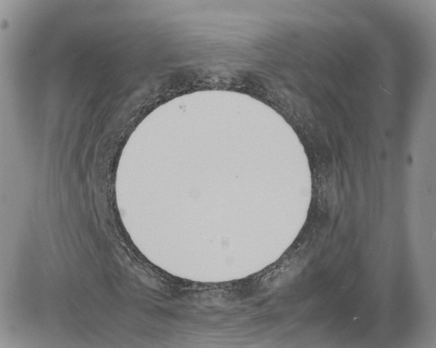 X0000080780769200701021146