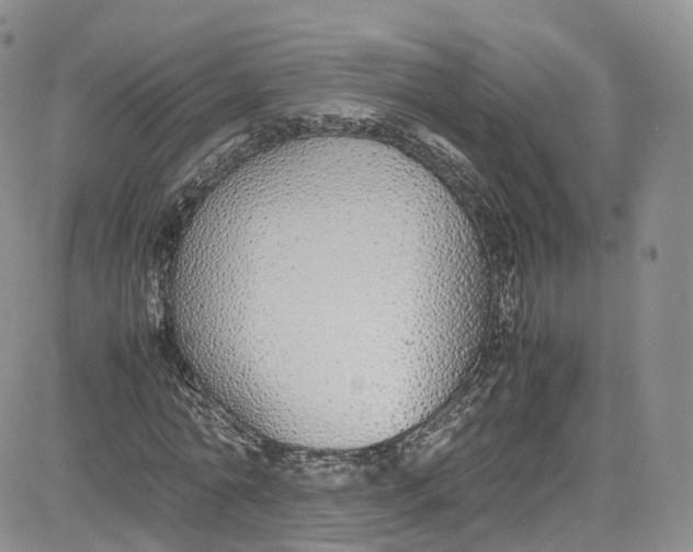 X0000080780774200701021146