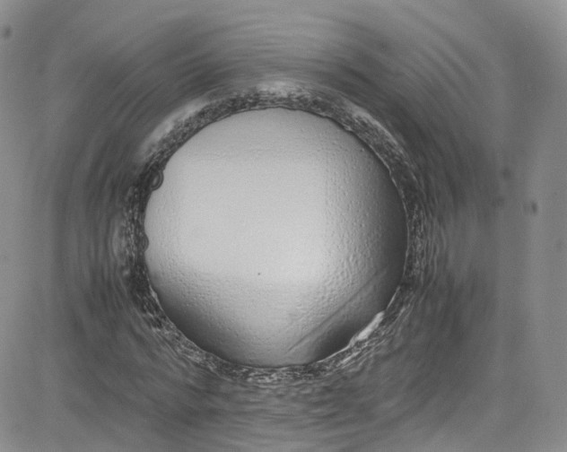 X0000080780776200701021146