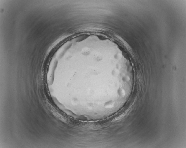 X0000080780779200701021146