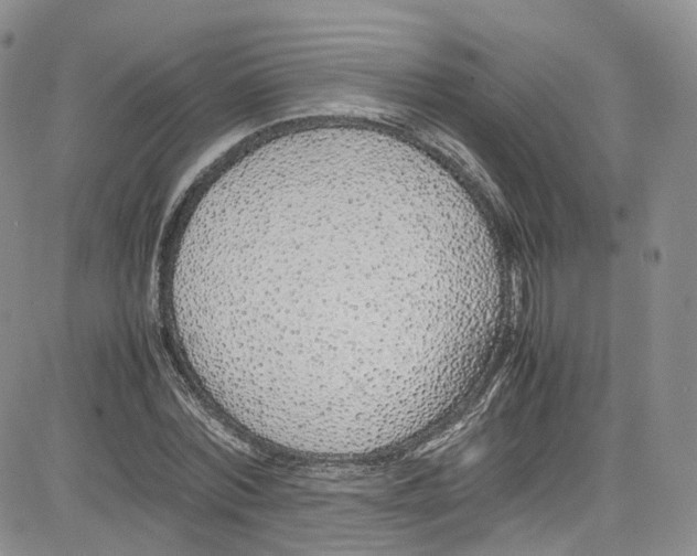 X0000080780780200701021146