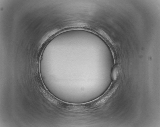 X0000080780781200701021146