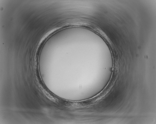 X0000080780787200701021146