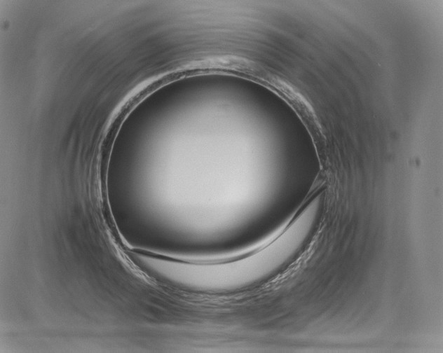 X0000080780792200701021146