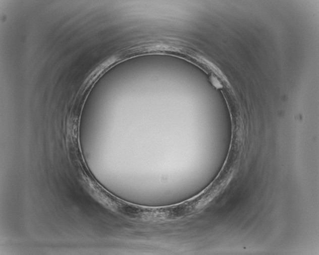 X0000080780793200701021146