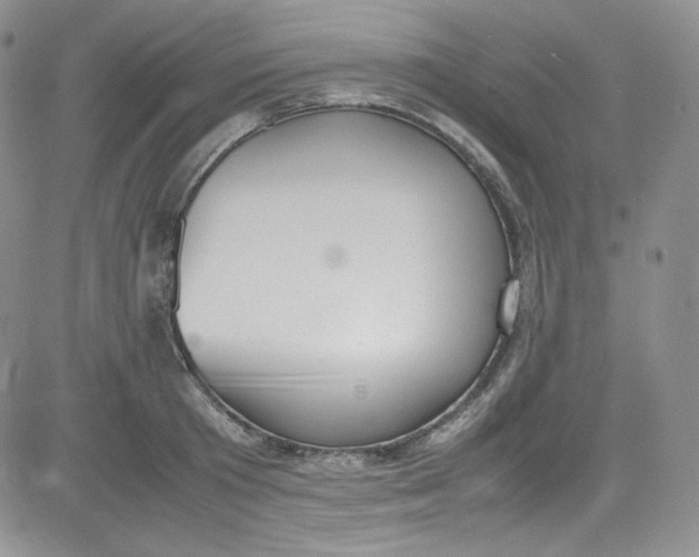 X0000080780801200701021146