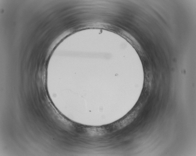 X0000080780804200701021146